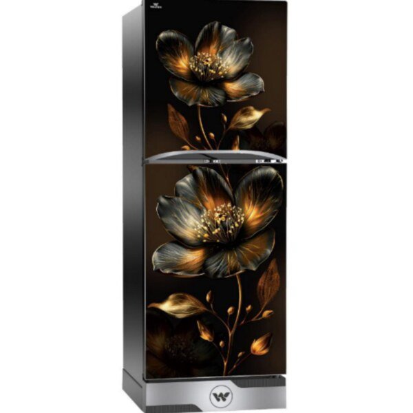 WFB-2E4-GDEL-XX (Inverter) Refrigerator price in Bangladesh